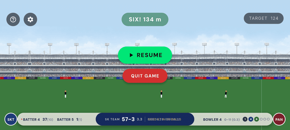 Cricket 2D screenshot